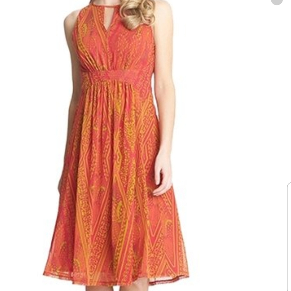Cynthia Steffe Estelle Printed Midi Dress